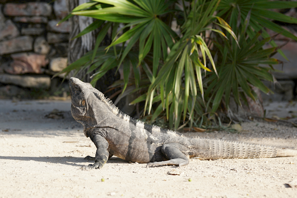 2015-01-06-08h15m31 2015-01-06-08h15m31