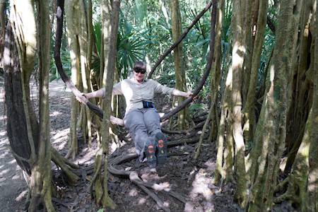 2015-01-07-10h19m21 2015-01-07-10h19m21