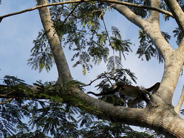 2015-01-07-16h10m29 2015-01-07-16h10m29