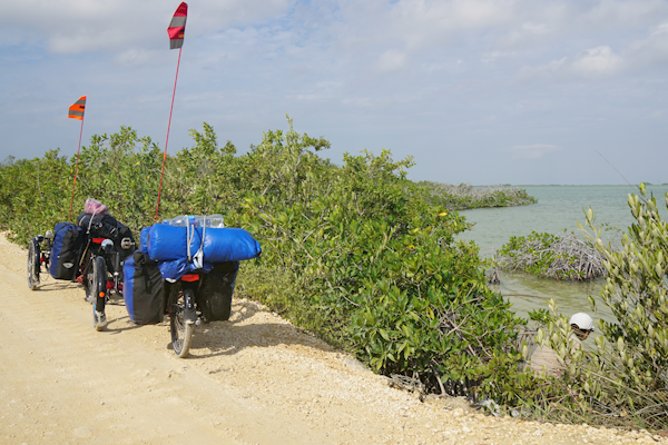 2015-01-09-09h42m26 2015-01-09-09h42m26