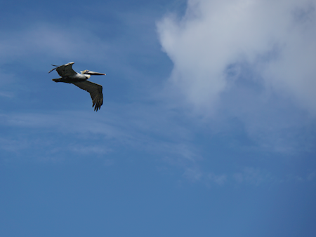 2015-01-10-09h39m56 2015-01-10-09h39m56