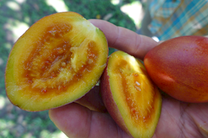 2015-01-23-12h52m36 2015-01-23-12h52m36