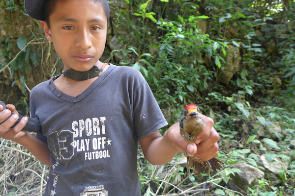 2015-01-23-13h50m08 2015-01-23-13h50m08