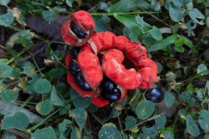 2015-01-25-14h32m22 2015-01-25-14h32m22