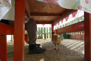 2015-01-28-09h21m13 2015-01-28-09h21m13