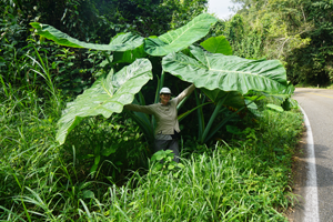 2015-01-28-10h34m35 2015-01-28-10h34m35