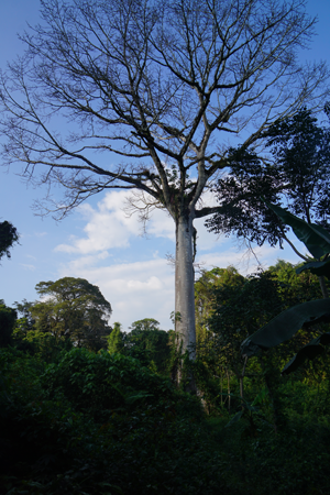 2015-01-28-16h14m47 2015-01-28-16h14m47