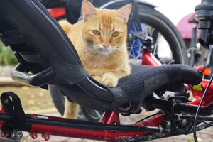 2015-02-05-11h16m44 2015-02-05-11h16m44