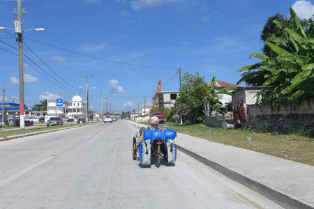 corozal-bert1 corozal-bert1