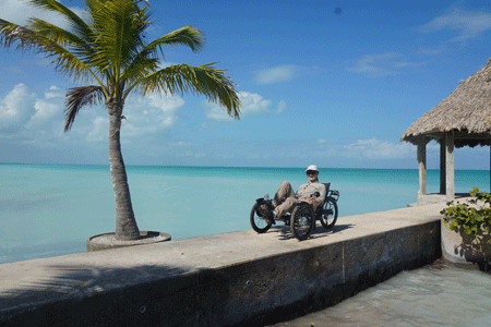 serteneja1 serteneja1