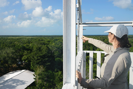 shipstern4 shipstern4