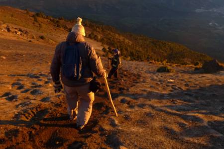 ataginango23 ataginango23