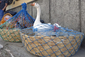 chichicastenango3 chichicastenango3