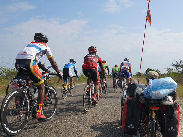 crooked-tree4 crooked-tree4