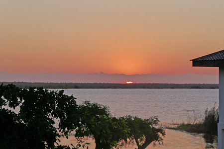 crooked-tree5 crooked-tree5