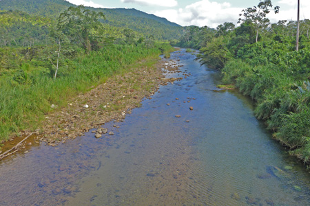 hummingbird10 hummingbird10