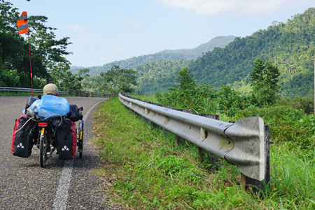 hummingbird11 hummingbird11