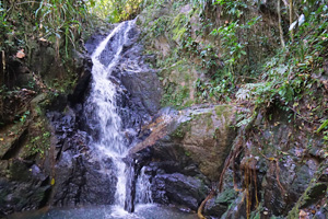 hummingbird12 hummingbird12