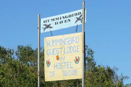 hummingbird13 hummingbird13