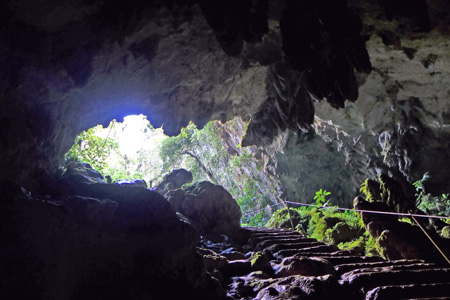 hummingbird15 hummingbird15