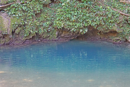 hummingbird16 hummingbird16