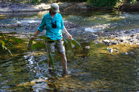hummingbird2 hummingbird2
