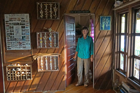 monkeybay6 monkeybay6