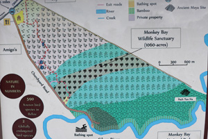 monkeybay8 monkeybay8