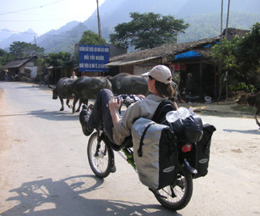 viet-firo-4 viet-firo-4