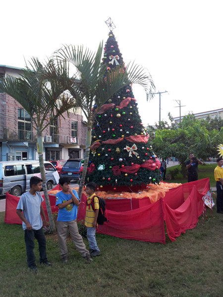 weihnachtsbaum3 weihnachtsbaum3